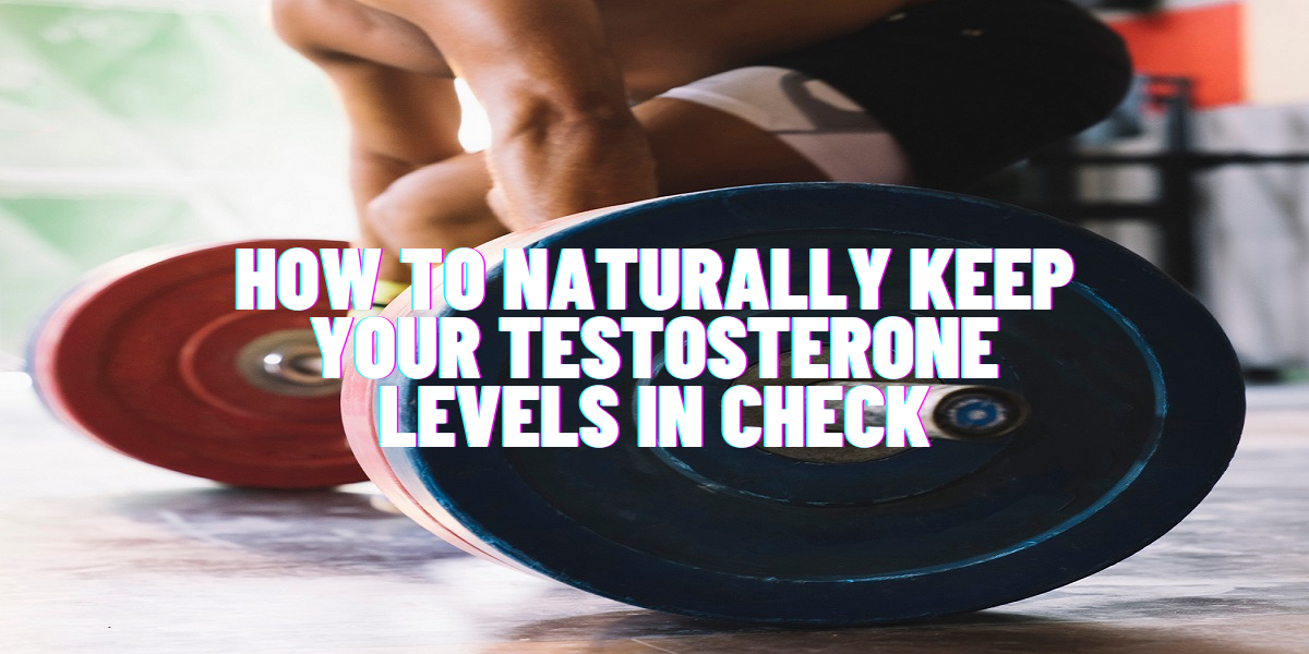 How To Naturally Keep Your Testosterone Levels In Check