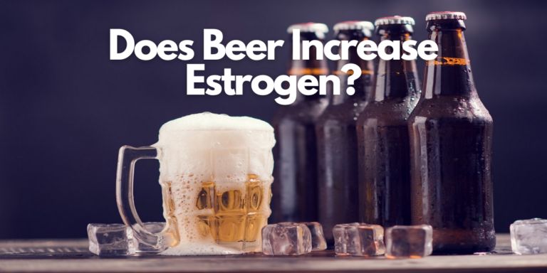 Does Beer Increase Estrogen? : What Science Says?