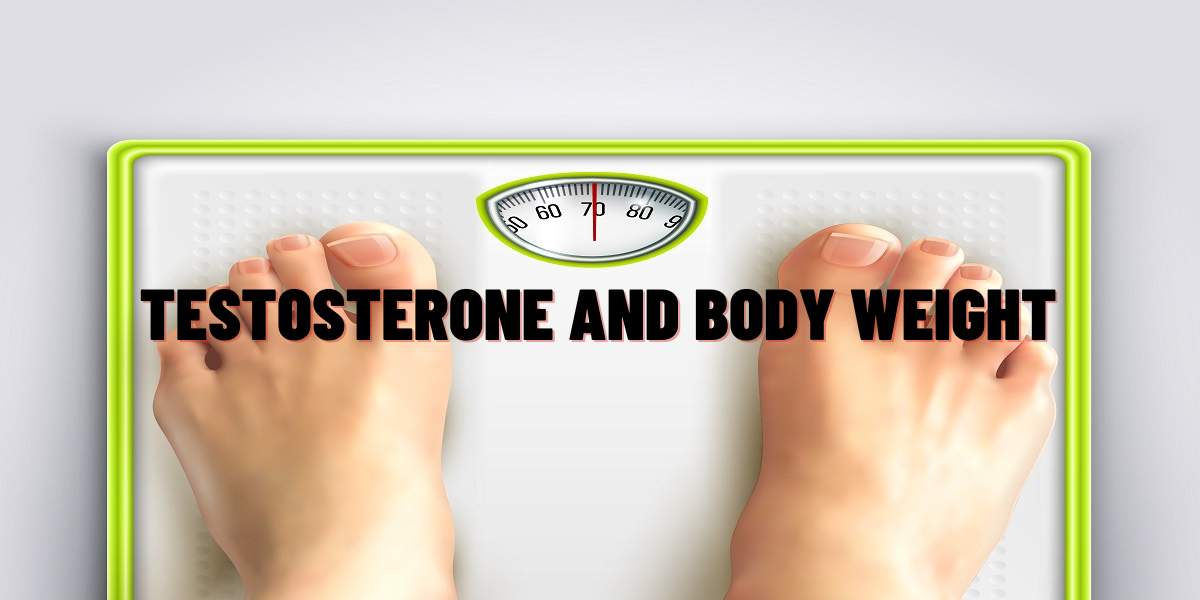 Testosterone And Body Weight Things Everyone Should Know