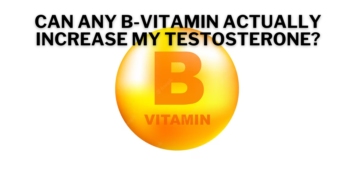 Can Any B-Vitamin Actually Increase My Testosterone