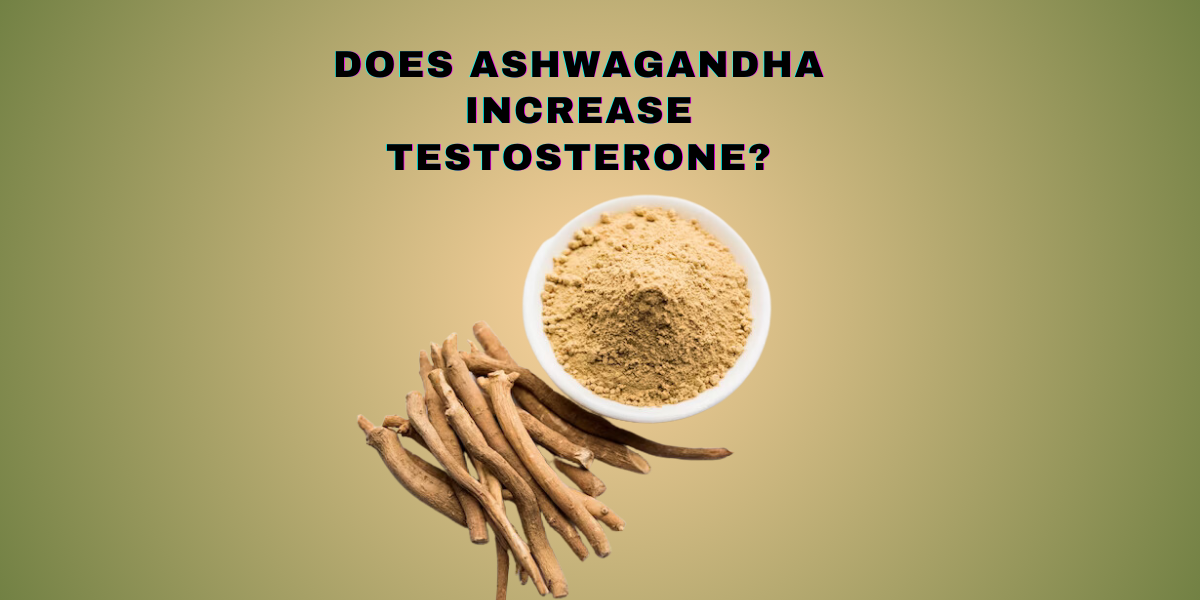 Does Ashwagandha Increase Testosterone