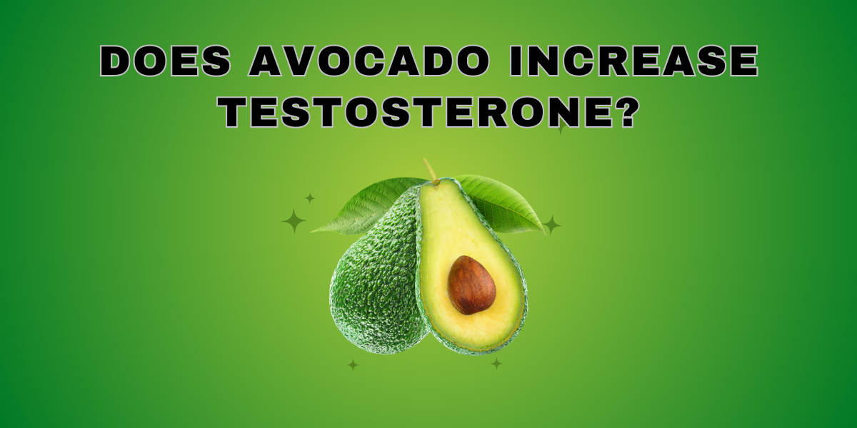 Does Avocado Increase Testosterone