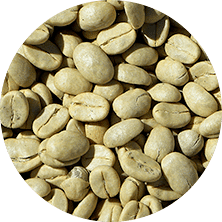 PhenGold Ingredients Green Coffee
