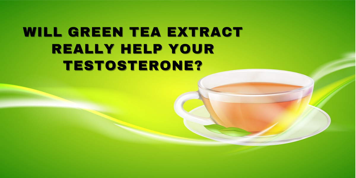 Will Green Tea Extract Really Help Your Testosterone