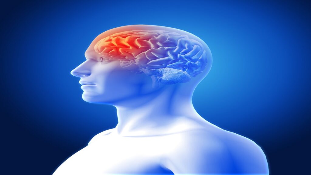 Brain Injury Or Concussion Symptoms Secondary Causes Of Low Testosterone