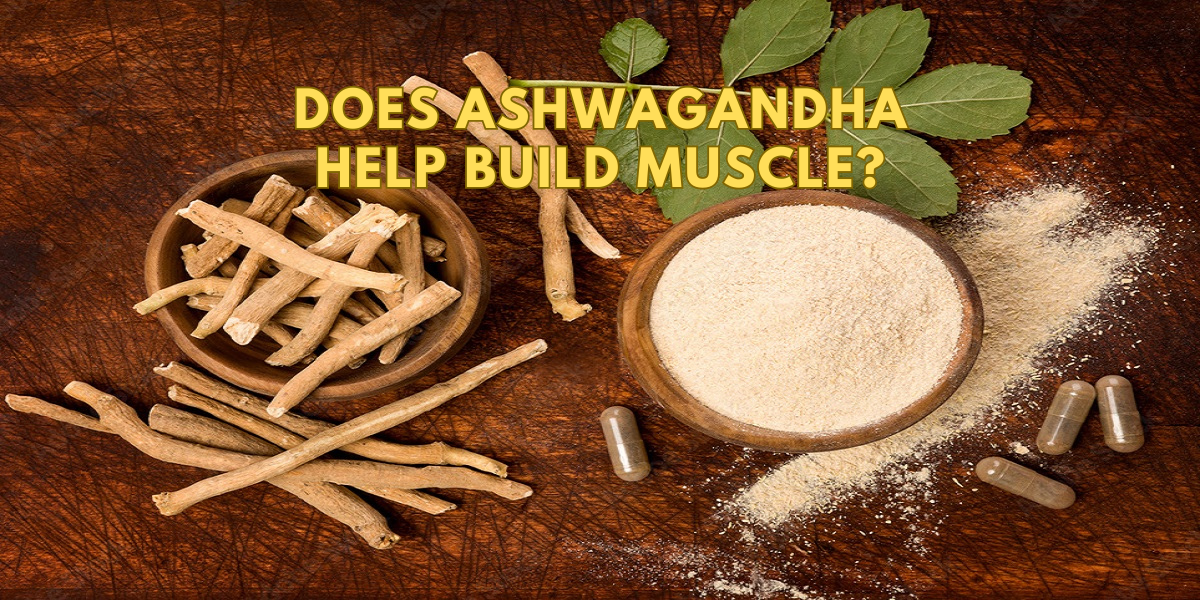 Does Ashwagandha Help Build Muscle