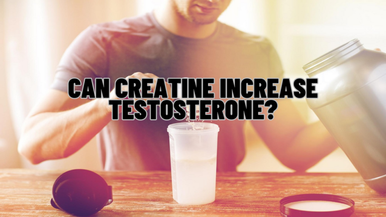 Can Creatine Increase Testosterone?