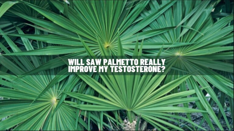 Does Saw Palmetto Boost Testosterone? Know Scientific Facts