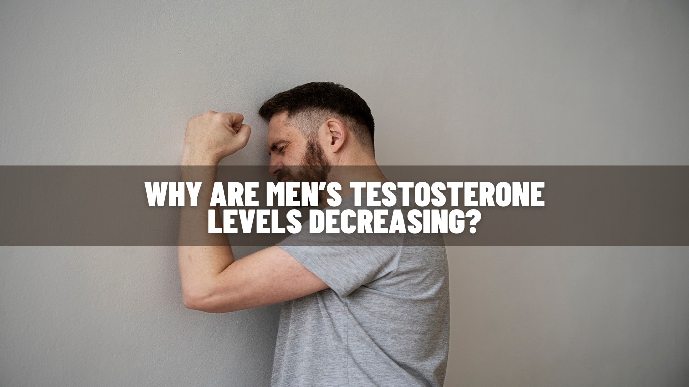Why Are Men’s Testosterone Levels Decreasing