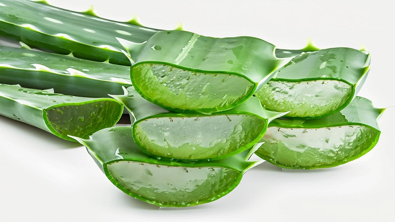 Aloe Vera And Testosterone Is There A Connection