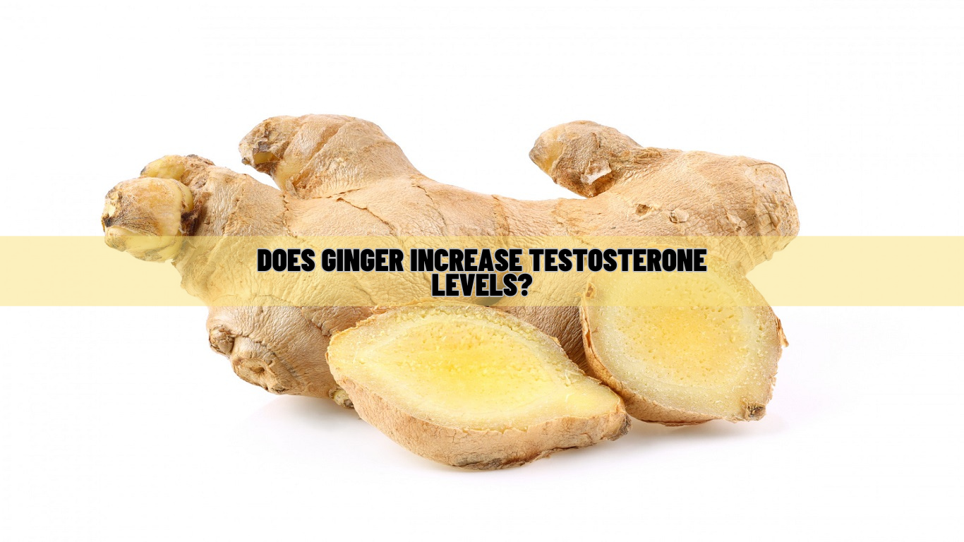 Does Ginger Increase Testosterone Levels Know Science!