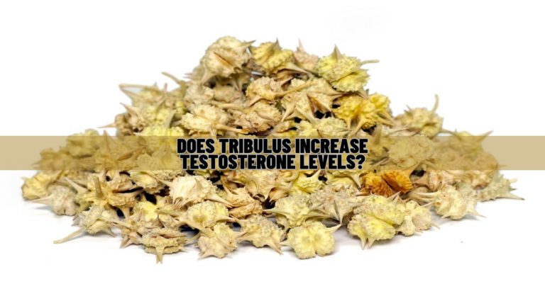 Does Tribulus Increase Testosterone Levels Know Science!