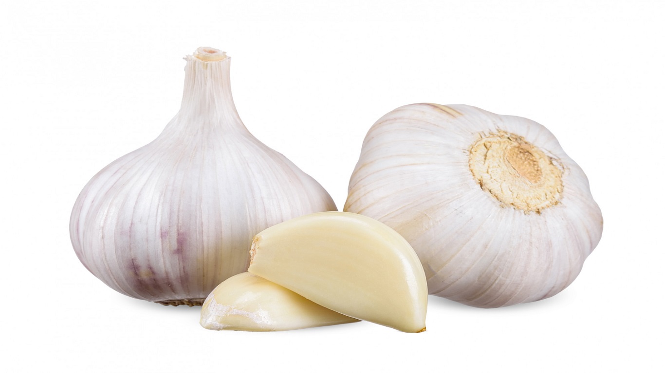 Testosil Ingredients Allium Sattva (Garlic)