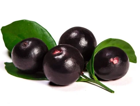 What Is Acai Berry And Help With Weight Loss