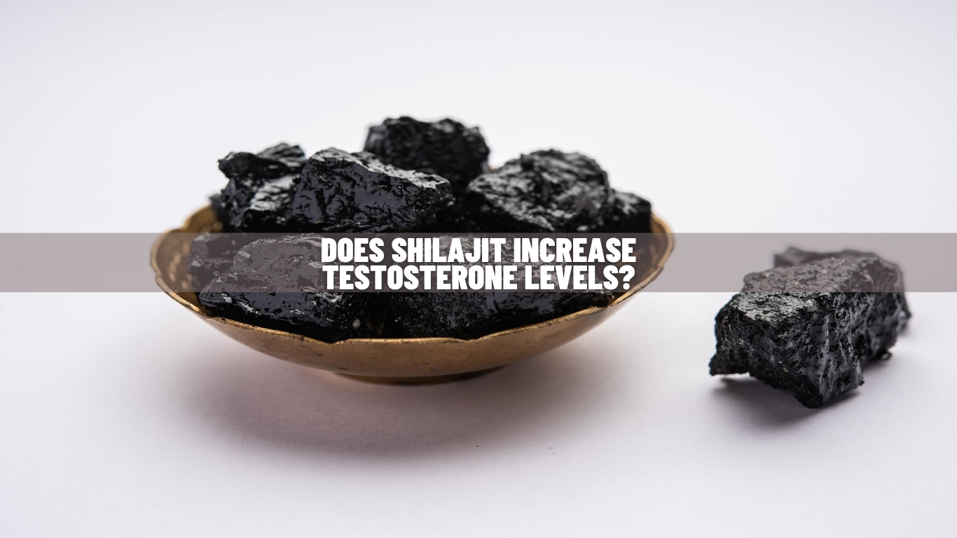 Does Shilajit Increase Testosterone Levels Know Science!