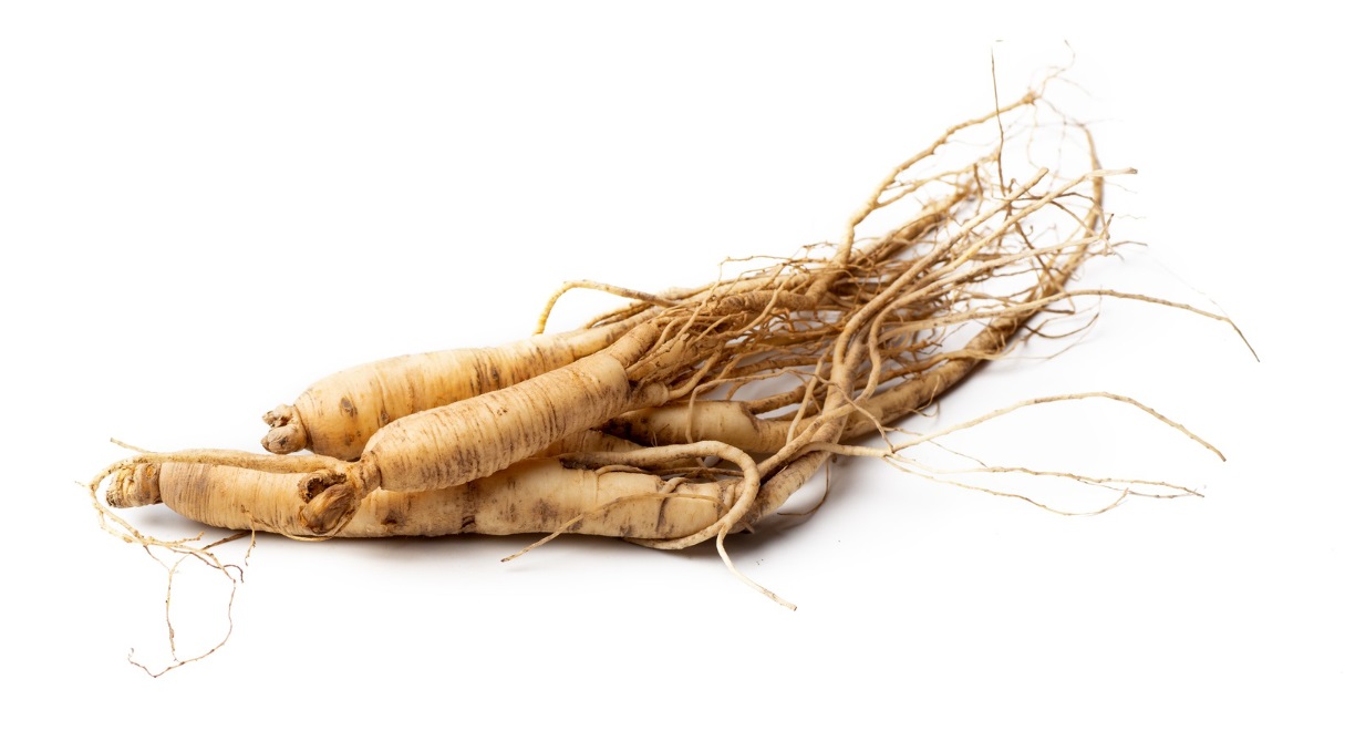 Ginseng’s Effect On Testosterone Possible Mechanism